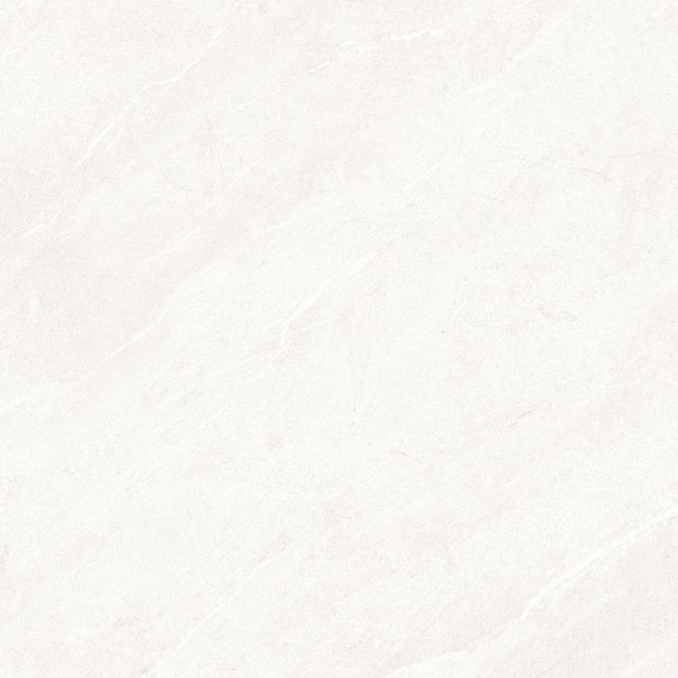 Dhara White Matte 48 x 48